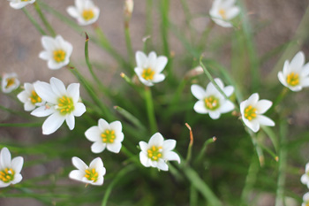 f:id:iengmwk:20110925163521j:image