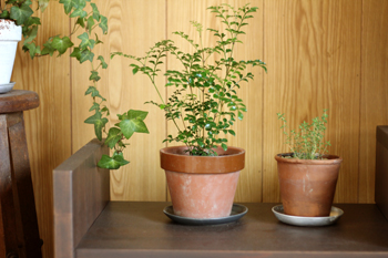 f:id:iengmwk:20111011141954j:image