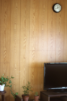 f:id:iengmwk:20111011141957j:image