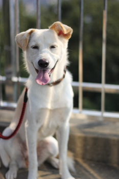 f:id:iengmwk:20111014110828j:image