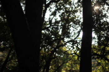 f:id:iengmwk:20111014110832j:image