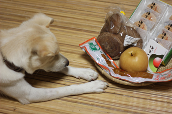 f:id:iengmwk:20111016154129j:image