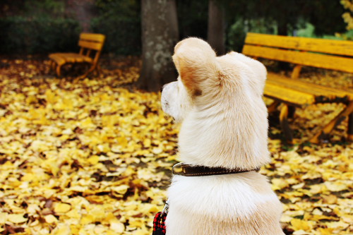 f:id:iengmwk:20111204143411j:image
