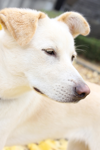 f:id:iengmwk:20111206144228j:image