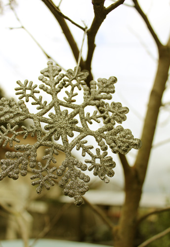 f:id:iengmwk:20111216112123j:image