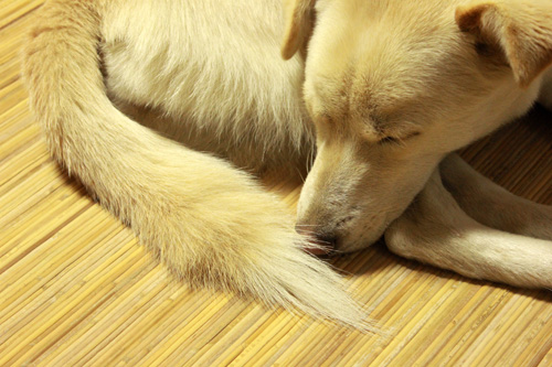 f:id:iengmwk:20111223183220j:image