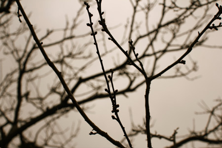 20120125140733