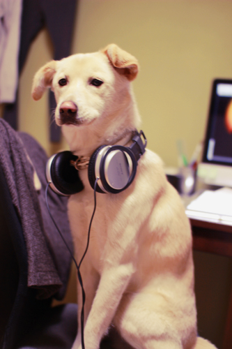 f:id:iengmwk:20120210183722j:image