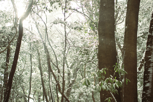 f:id:iengmwk:20120219180754j:image
