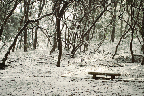 f:id:iengmwk:20120219180755j:image