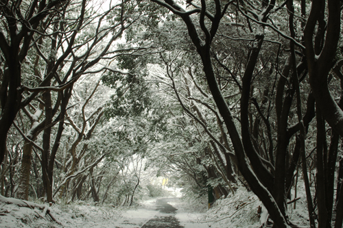 f:id:iengmwk:20120219180757j:image