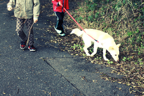 f:id:iengmwk:20120311183718j:image