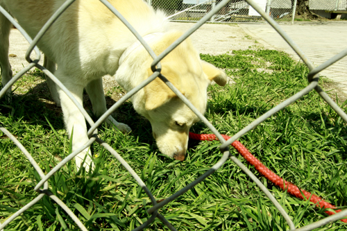 f:id:iengmwk:20120401174152j:image