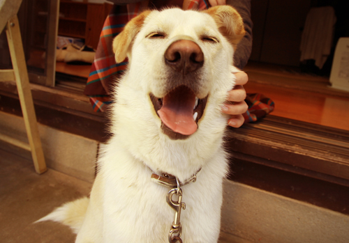 f:id:iengmwk:20120406140613j:image