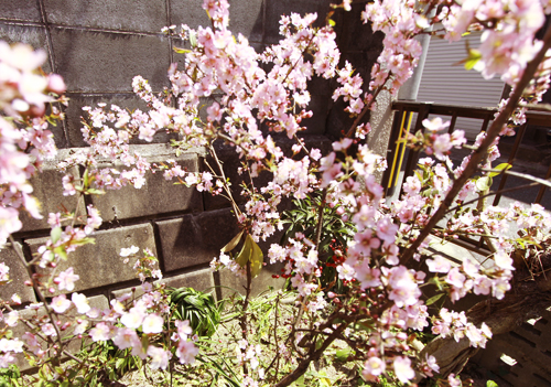 20120406140616