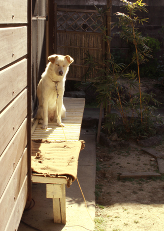 f:id:iengmwk:20120407123153j:image f:id:iengmwk:20120407123153j:image