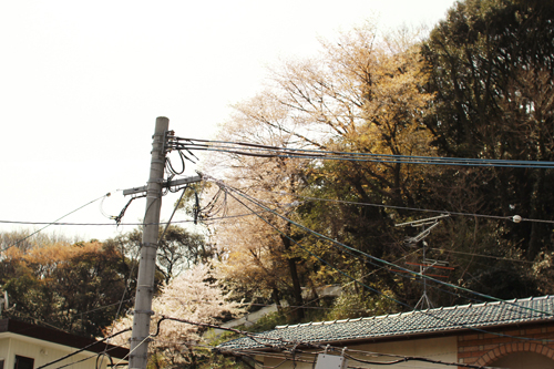 f:id:iengmwk:20120409002226j:image