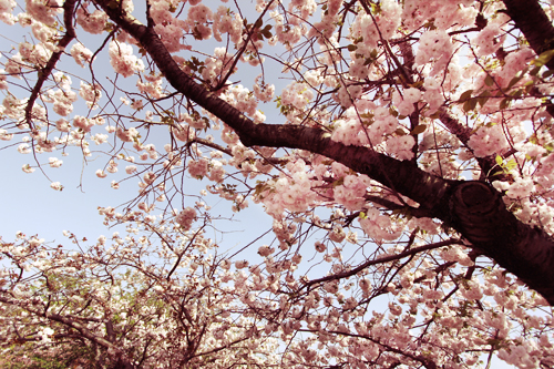 f:id:iengmwk:20120413112116j:image