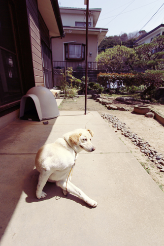 f:id:iengmwk:20120424181316j:image