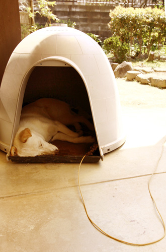 f:id:iengmwk:20120427135626j:image f:id:iengmwk:20120427135626j:image
