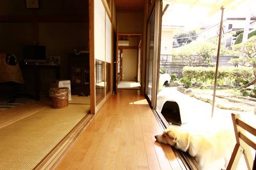 f:id:iengmwk:20120427135627j:image f:id:iengmwk:20120427135627j:image