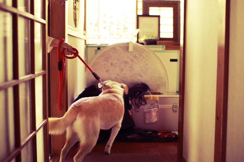 f:id:iengmwk:20120502140302j:image