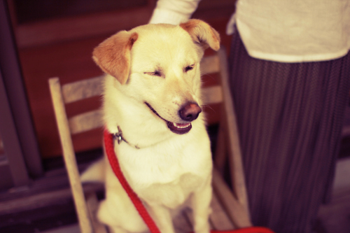 f:id:iengmwk:20120502140305j:image