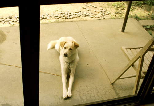 f:id:iengmwk:20120610151629j:image
