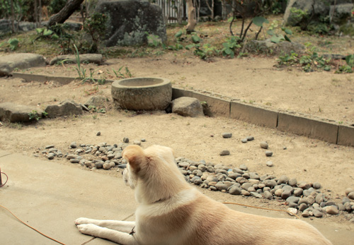 f:id:iengmwk:20120615194505j:image