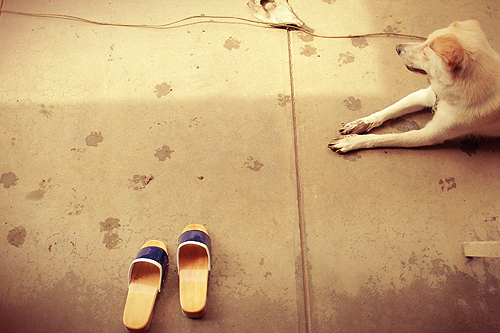 f:id:iengmwk:20120620111011j:image