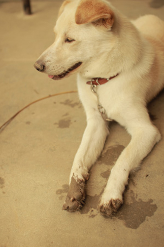 f:id:iengmwk:20120628124751j:image