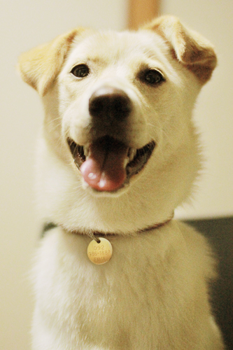 f:id:iengmwk:20120703105851j:image f:id:iengmwk:20120703105851j:image