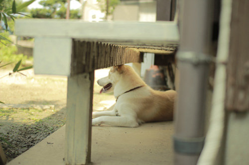 20120726145804