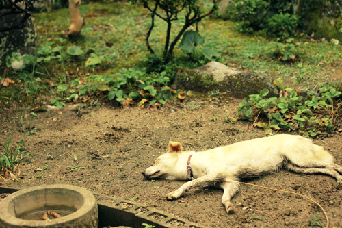 f:id:iengmwk:20120817162919j:image f:id:iengmwk:20120817162919j:image