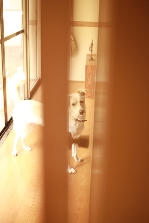 f:id:iengmwk:20120906092714j:image