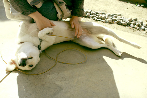 f:id:iengmwk:20121102104112j:image