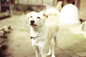 f:id:iengmwk:20121128111836j:image