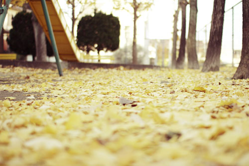 f:id:iengmwk:20121128111840j:image f:id:iengmwk:20121128111840j:image