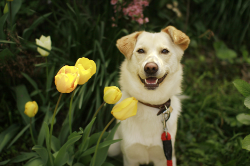 f:id:iengmwk:20130401231314j:image