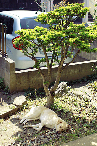 f:id:iengmwk:20130410102934j:image