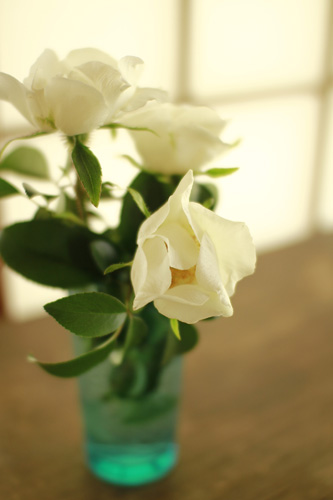 f:id:iengmwk:20130413161057j:image