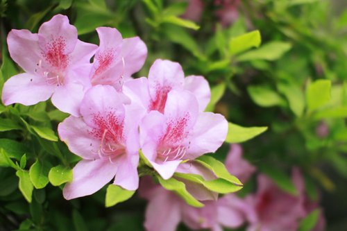 f:id:iengmwk:20130418101825j:image