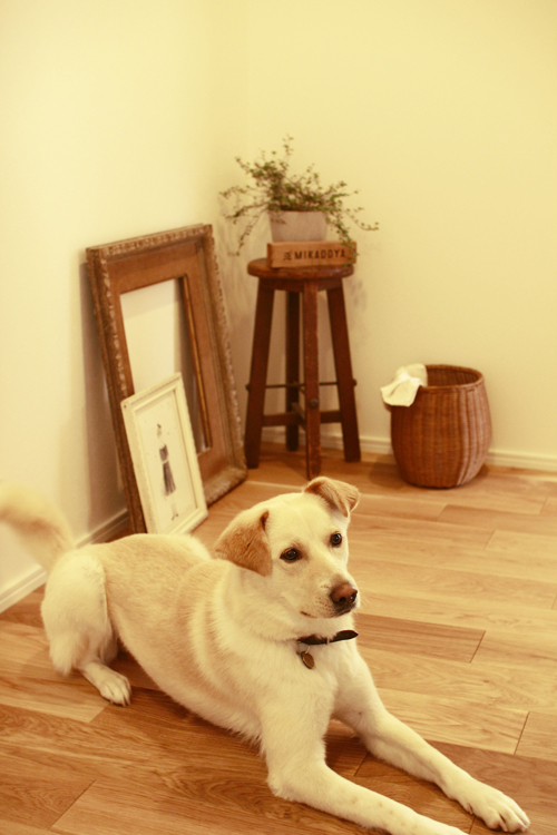 f:id:iengmwk:20130514122334j:image