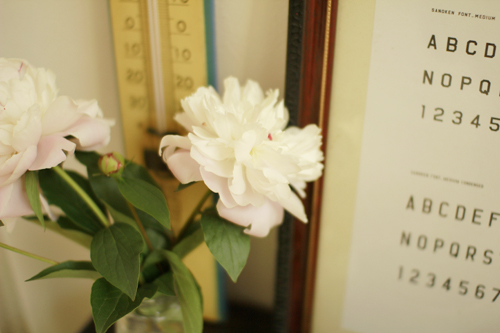 f:id:iengmwk:20130514122341j:image
