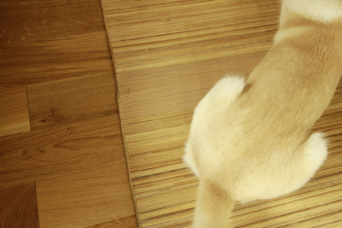 f:id:iengmwk:20130519132209j:image