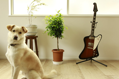 f:id:iengmwk:20130519135521j:image