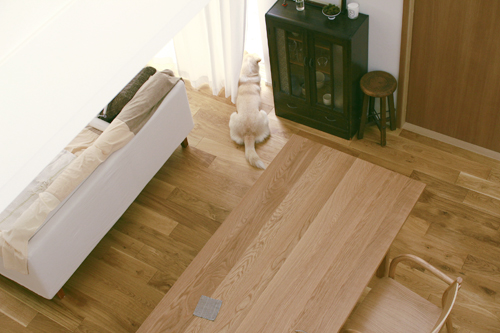 f:id:iengmwk:20130612094613j:image