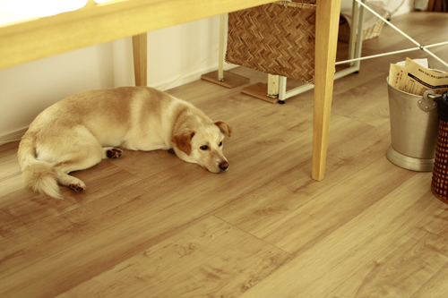 f:id:iengmwk:20130613094622j:image