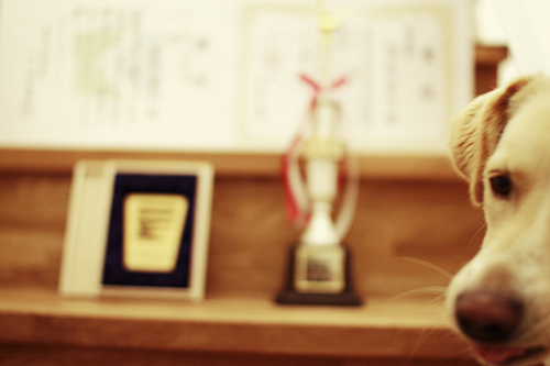 f:id:iengmwk:20130617181358j:image f:id:iengmwk:20130617181358j:image