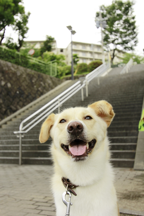 20130704165122